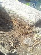 sandymount tower-14200.jpg